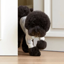 Lika Lika Wear Rabbit Knit Sweater Ivory