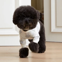 Lika Lika Wear Rabbit Knit Sweater Ivory