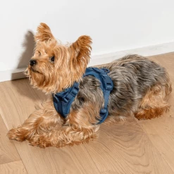 Wild One Walk Cushioned Dog Harness Navy