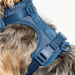 Wild One Walk Cushioned Dog Harness Navy