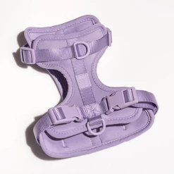 Wild One Cushioned Dog Harness Lilac