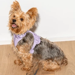 Wild One Cushioned Dog Harness Lilac