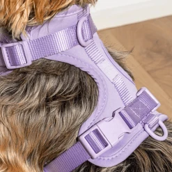 Wild One Cushioned Dog Harness Lilac
