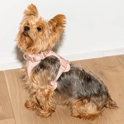 Wild One Cushioned Dog Harness Blush Walk