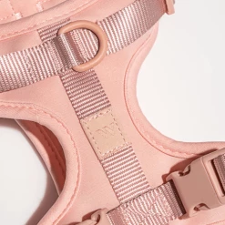 Wild One Cushioned Dog Harness Blush Walk
