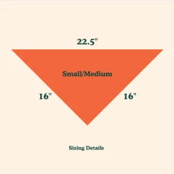 Goodboy Face Mask And Dog Bandana Set Blue Style