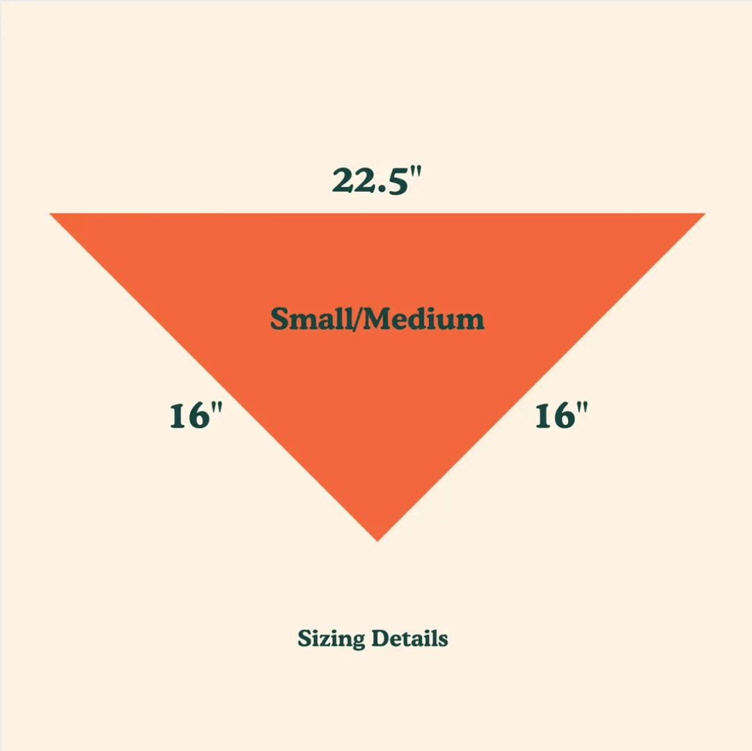 Buy ๐ Goodboy Face Mask And ๐ฆฎ Dog Bandana Set Blue Style ๐ 4 Goodboy Face Mask And Dog Bandana Set Blue Style