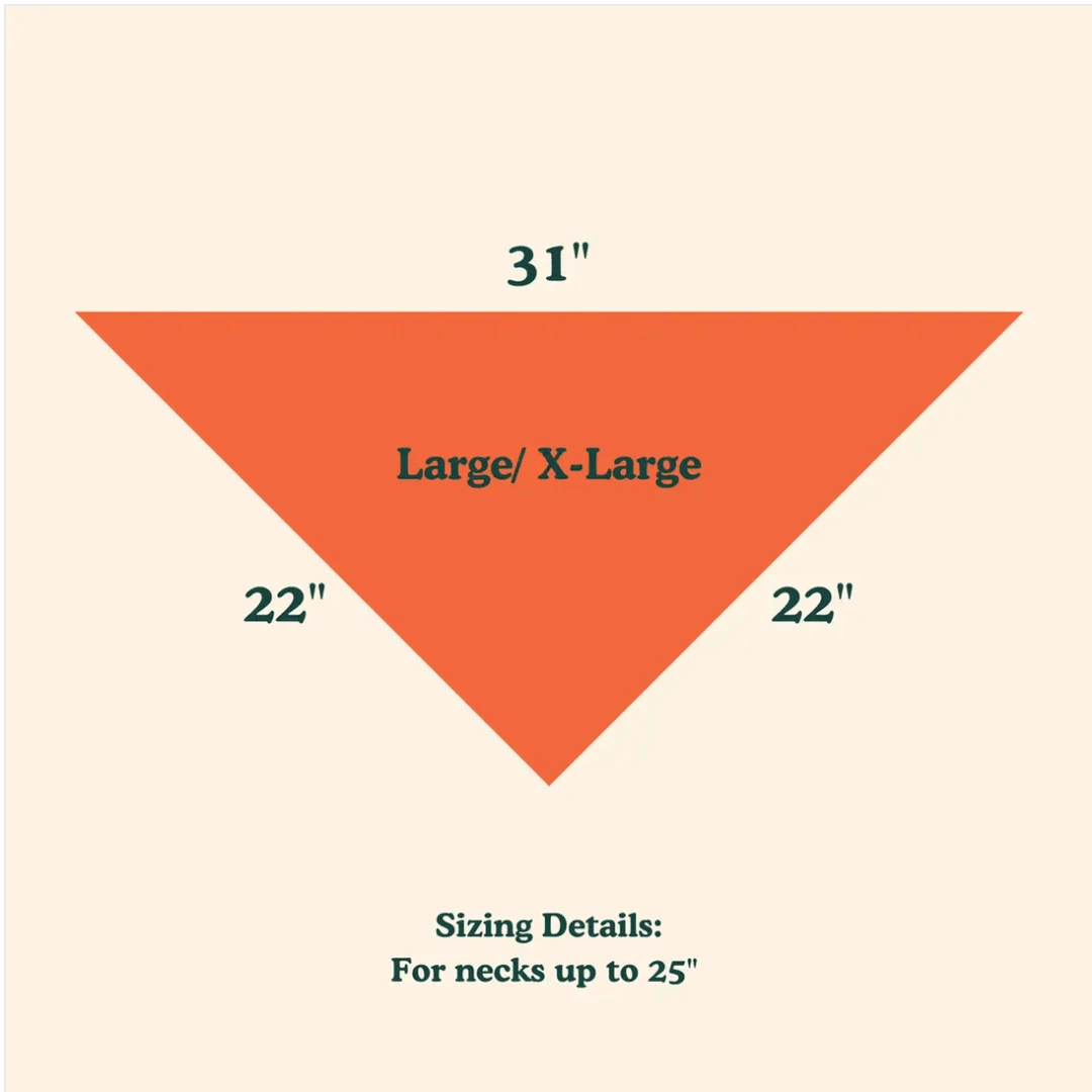 Buy ๐ Goodboy Face Mask And ๐ฆฎ Dog Bandana Set Blue Style ๐ 5 Goodboy Face Mask And Dog Bandana Set Blue Style