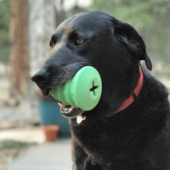 Soda Pup Live Christmas Tree Toy Green