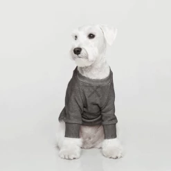 Trois Point Wear Vintage Sweatshirt Charcoal