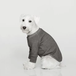 Trois Point Wear Vintage Sweatshirt Charcoal