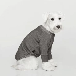 Trois Point Wear Vintage Sweatshirt Charcoal