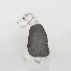 Trois Point Wear Vintage Sweatshirt Charcoal