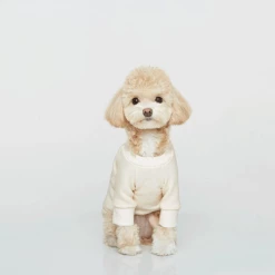 Trois Point Vintage Sweatshirt Ivory