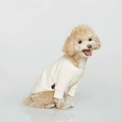 Trois Point Vintage Sweatshirt Ivory