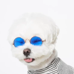 Trois Point Wear Believe Cotton T-Shirt White