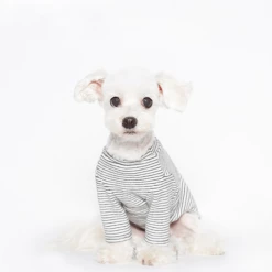 Trois Point Wear Believe Cotton T-Shirt White