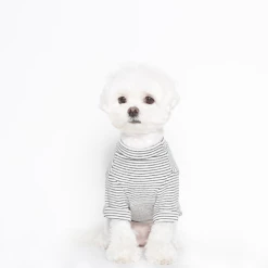 Trois Point Wear Believe Cotton T-Shirt White