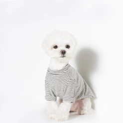 Trois Point Wear Believe Cotton T-Shirt White