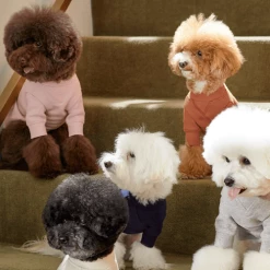 Small Stuff Crewneck Sweatshirt Brown Wear