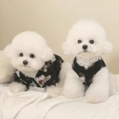 Near By Us Floral Wool Vest Black Wear