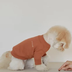 Small Stuff Crewneck Sweatshirt Brown Wear