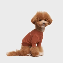 Small Stuff Crewneck Sweatshirt Brown Wear