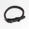 Wild One Modern Dog Collar Black Walk