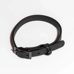 Wild One Modern Dog Collar Black Walk