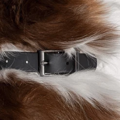 Budget π₯ Wild One Modern π Dog Collar Black Walk π 7 Wild One Modern Dog Collar Black Walk
