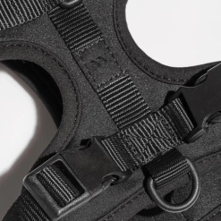 Wild One Walk Cushioned Dog Harness Black