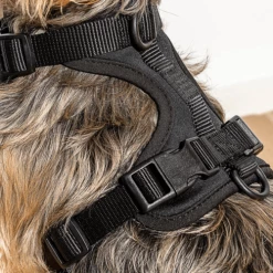 Wild One Walk Cushioned Dog Harness Black