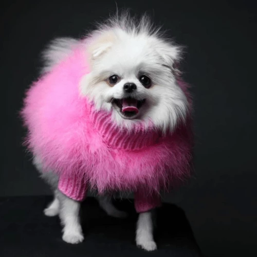 Best reviews of ๐ Max-bone Christian Cowan X Max Bone Sweater Pink โ๏ธ 6 Max-bone Christian Cowan X Max Bone Sweater Pink