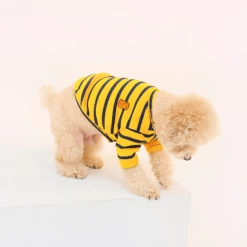 Hey Jerry Preppy Stripe Cardigan Yellow