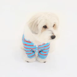 Hey Jerry Preppy Stripe Cardigan Blue Wear