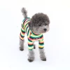 Hey Jerry Rainbow Love Onesie Tropical