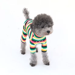Hey Jerry Rainbow Love Onesie Tropical