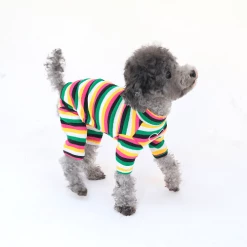 Hey Jerry Rainbow Love Onesie Tropical