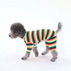 Hey Jerry Rainbow Love Onesie Tropical