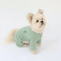 Hey Jerry Smoothie Onesie Green Wear