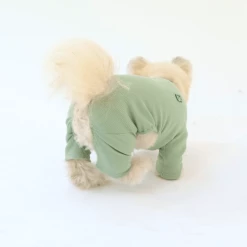 Hey Jerry Smoothie Onesie Green Wear