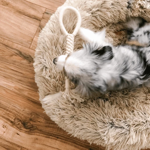 Best reviews of ⌛ Ember And Ivory Play Macrame Rope Toy Natural 🎁 6 Ember And Ivory Play Macrame Rope Toy Natural