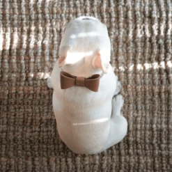 Pipolli Bow Leather Collar Brown Walk