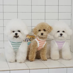 Lila Dog Dot Bear Tank Green