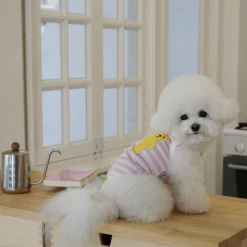 Lila Dog Dot Bear Tank Purple