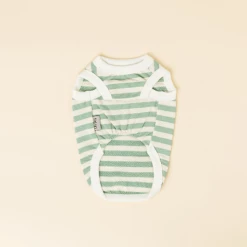 Lila Dog Dot Bear Tank Green