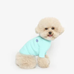 Tustus Basic Turtleneck Tee Mint