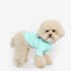 Tustus Basic Turtleneck Tee Mint