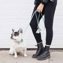 Pipolli Leather Leash Mint