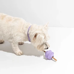 Wild One Twist Toss Lilac